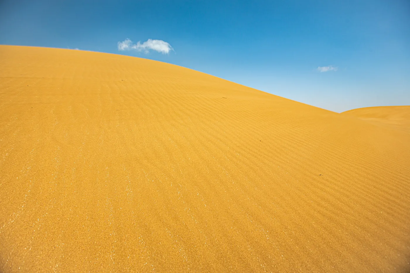 La dune, Courbe de dune de sable doré contre un ciel bleu