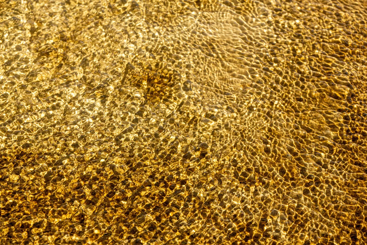 Eau dorée I, Reflets dorés en réseau sur le fond d'une eau peu profonde