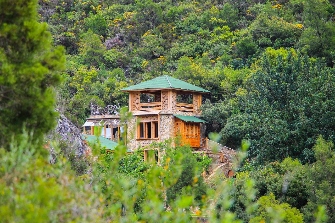 La maison dans la forêt, Maison en bois et pierre au milieu d'une forêt dense