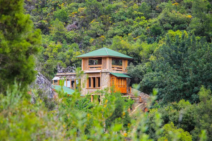 La maison dans la forêt, Maison en bois et pierre au milieu d'une forêt dense