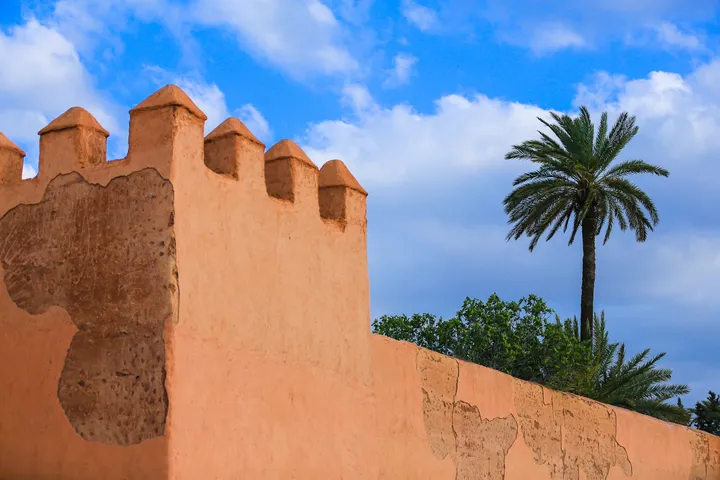 Remparts de terre, Créneaux d'un rempart en pisé et palmier sous un ciel bleu