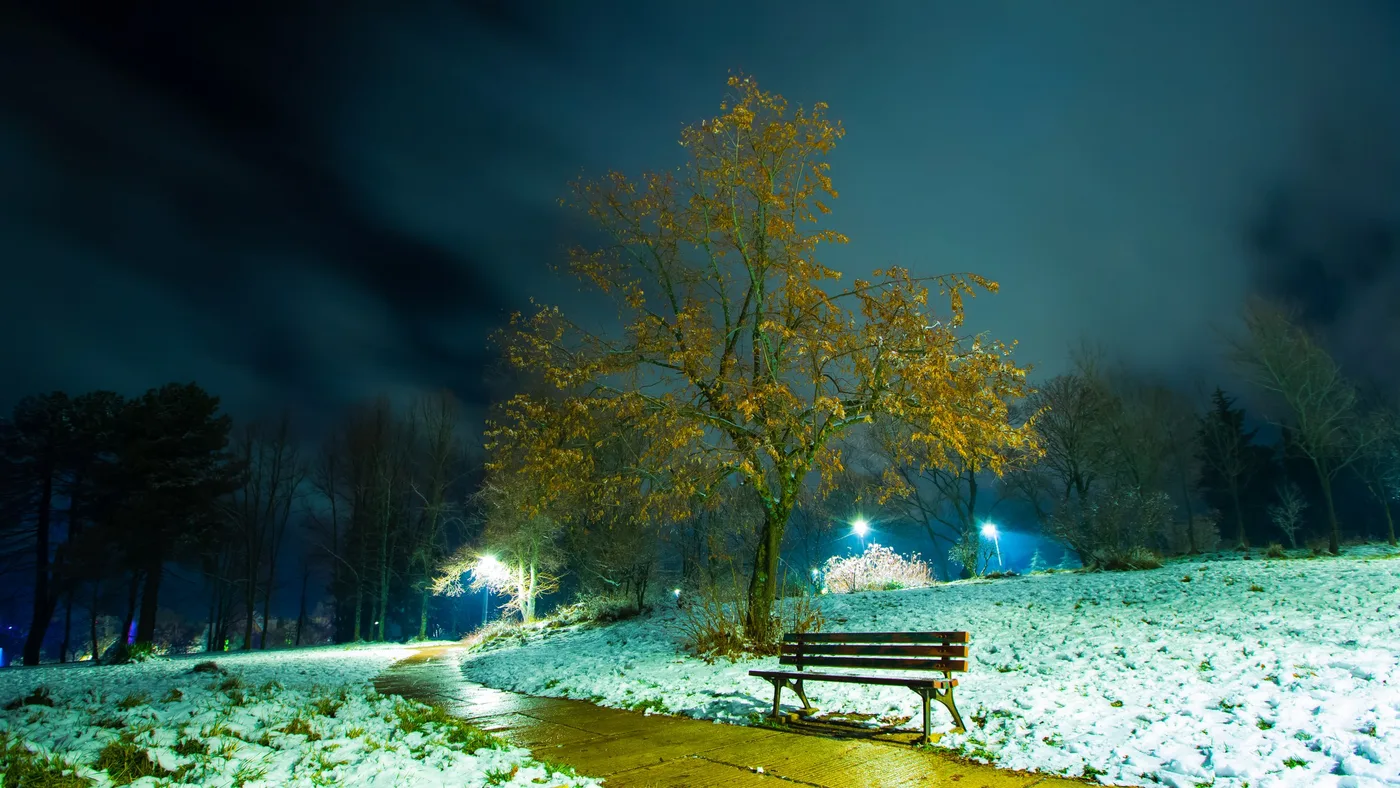 Nuit blanche, Parc enneigé la nuit à Ifrane, arbre aux feuilles dorées et banc en bois
