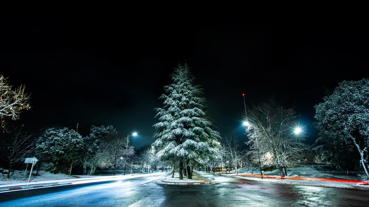 Cèdre et lumières, Cèdre enneigé et traînées de phares sur une route d'Ifrane la nuit